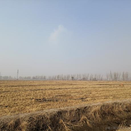 神秘少女_于2022-11-09 12:56发布的图片