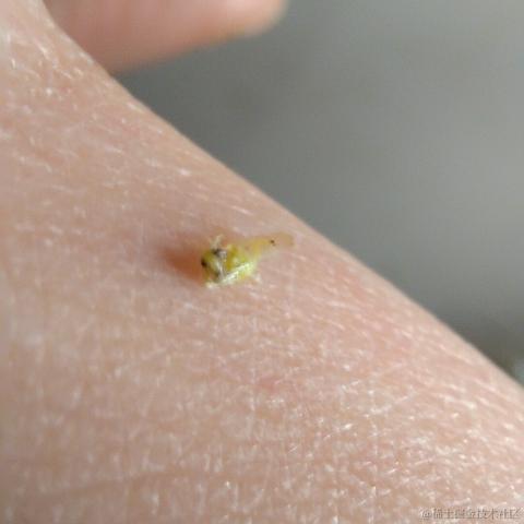 w减速了再走于2022-11-19 10:59发布的图片