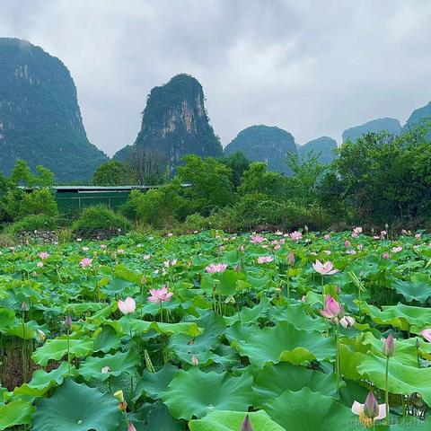 媛媛啊9813于2024-06-03 21:44发布的图片