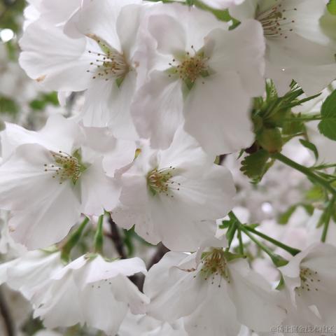 getify于2023-03-25 17:01发布的图片