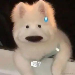 俺是bug搬运工于2024-07-11 09:45发布的图片