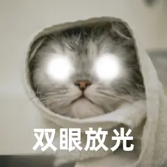 搞笑猫眼放光斗图表情包__2023-06-18+03_42_48.png
