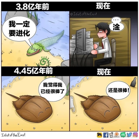 leonsux于2021-11-30 11:15发布的图片