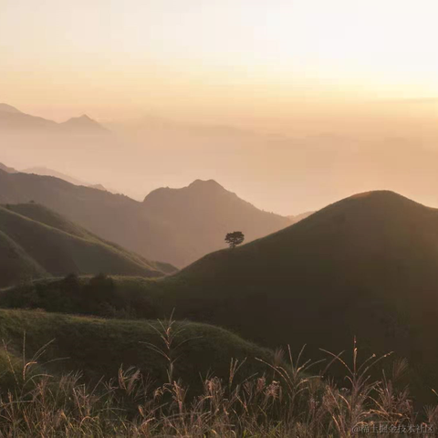 xfdd于2021-02-23 10:47发布的图片