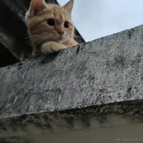 枝江蓝白碗于2022-12-02 12:11发布的图片