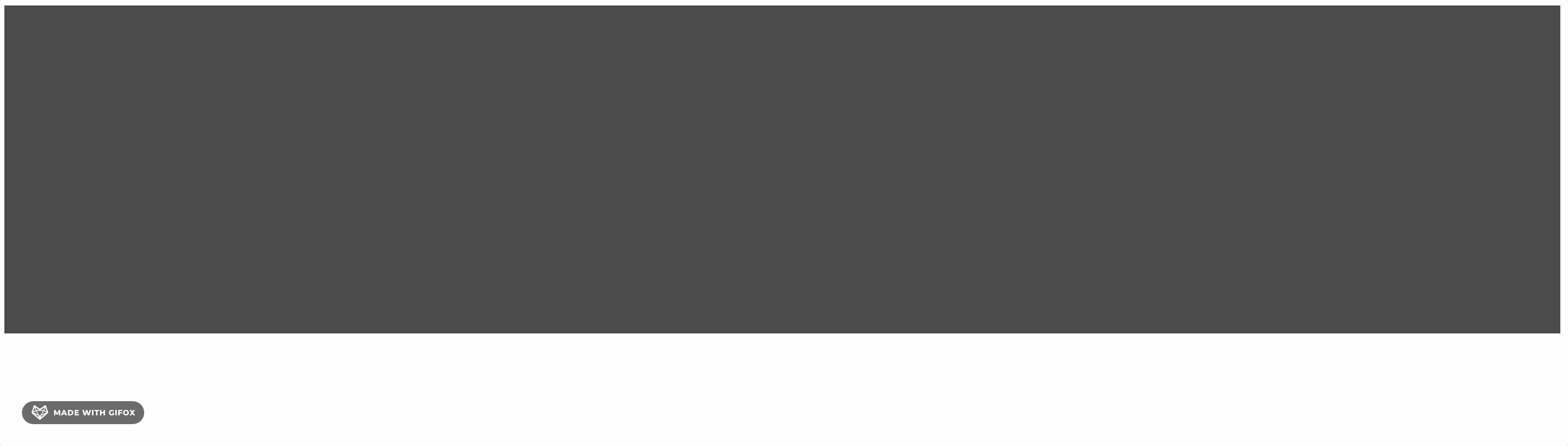 2022-11-23 14.52.50.gif