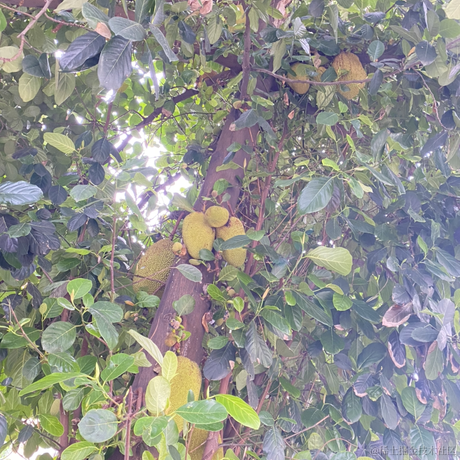 103于2022-04-16 18:51发布的图片