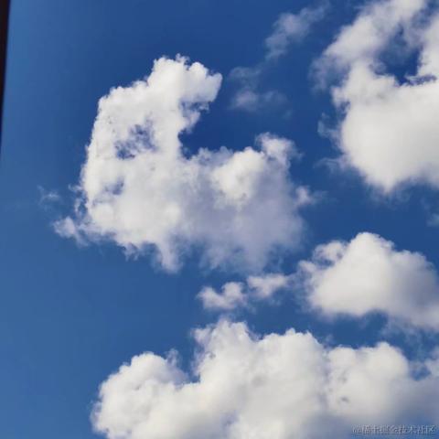 小橙子呀于2022-06-25 10:24发布的图片