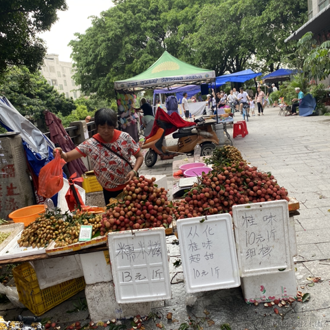 方圆的方方圆的圆于2023-06-25 16:42发布的图片