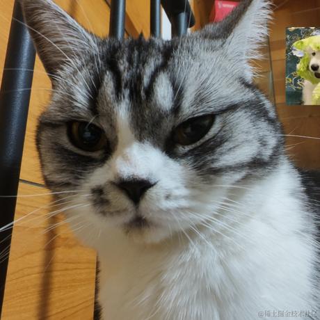 吃鱼的不一定是猫于2023-12-28 10:09发布的图片