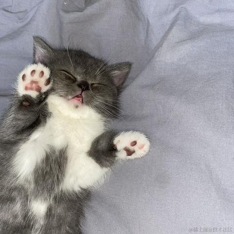 二十一一于2023-05-21 23:25发布的图片