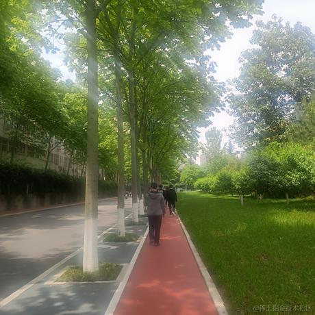 白色小甜羊于2023-05-11 12:08发布的图片