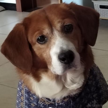 锅里没有水母于2022-12-19 16:48发布的图片