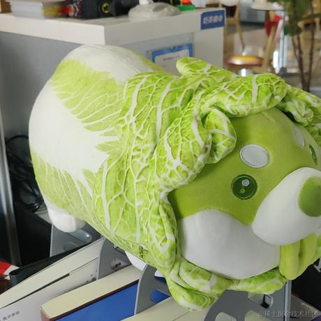 寒草于2021-08-09 23:27发布的图片