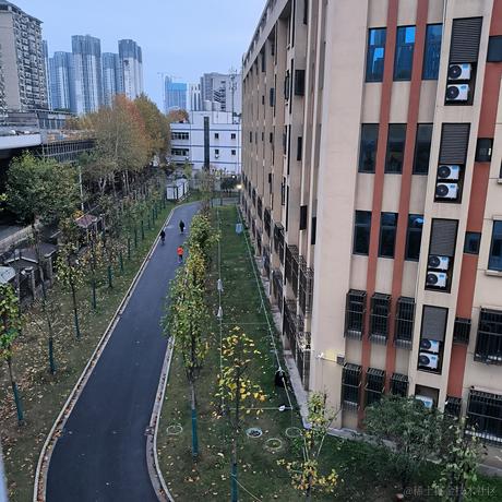 掇翎于2022-11-29 07:17发布的图片