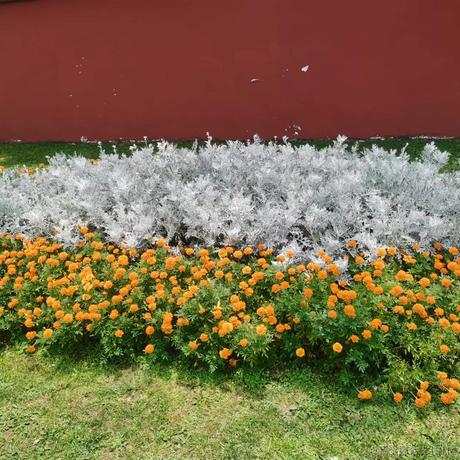 久久酒于2022-11-24 13:13发布的图片