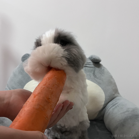 陇锦于2022-02-26 23:09发布的图片