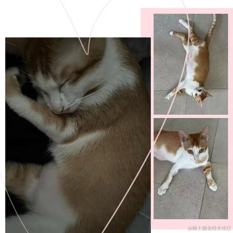步履不停_t于2023-09-07 18:07发布的图片
