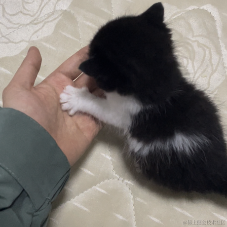 你说这是为什么于2023-05-15 00:20发布的图片