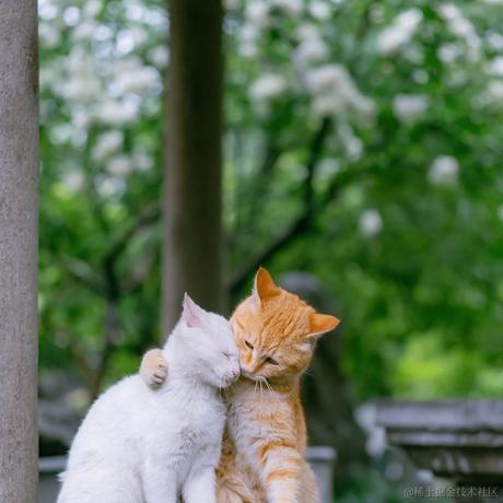 mrguo0219于2021-05-10 08:07发布的图片