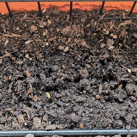 youth_于2022-05-07 08:51发布的图片