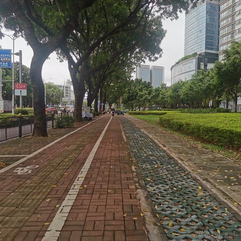 旺旺碎冰冰于2023-08-11 08:34发布的图片