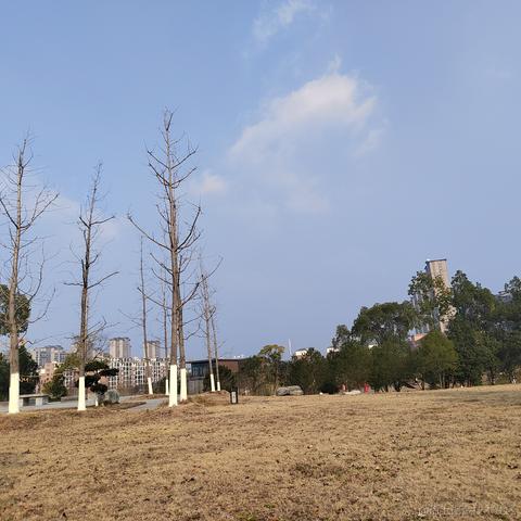 秦歌18于2024-01-14 20:14发布的图片