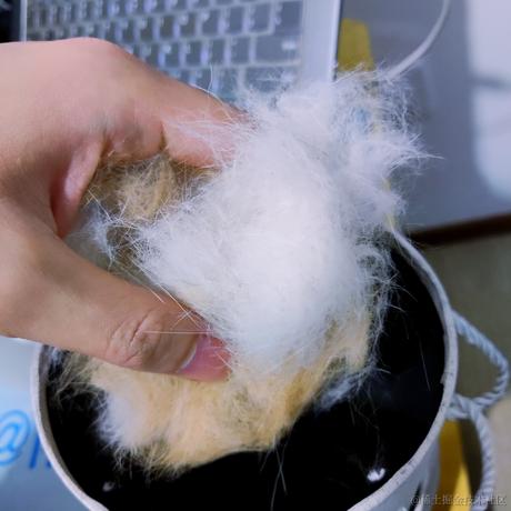 南方者于2022-04-16 01:03发布的图片