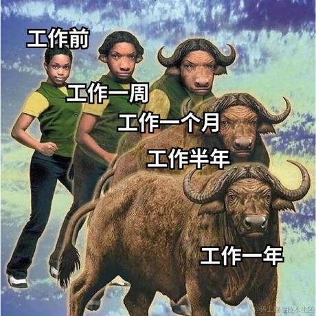 天选打工仔于2024-07-15 10:44发布的图片