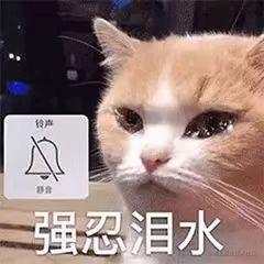 八股