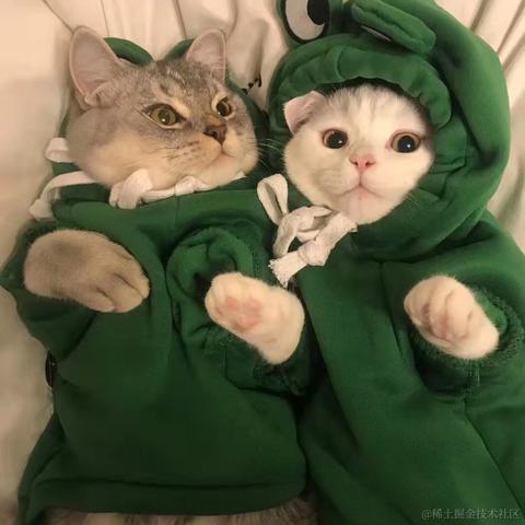 抖音开放平台于2021-10-28 14:21发布的图片