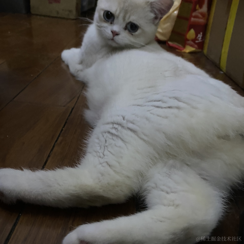 打瞌睡的专家于2022-06-15 12:28发布的图片