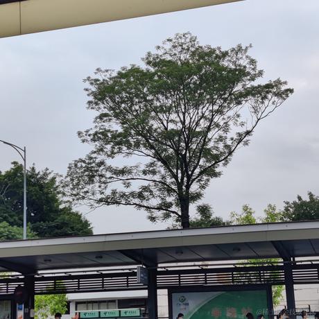 叨叨呀于2022-04-15 08:38发布的图片