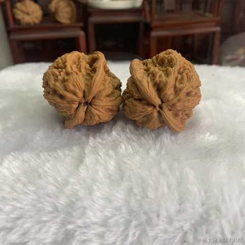 篮采核于2023-02-18 22:52发布的图片