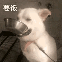 已注销于2021-11-27 07:19发布的图片