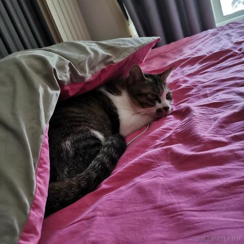 LZ_James于2021-03-21 12:58发布的图片