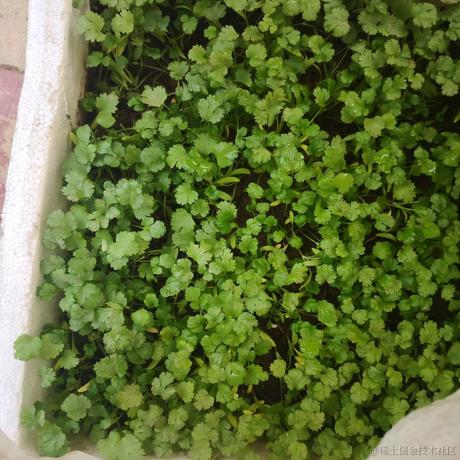 嘉晚饭avaavv于2022-12-19 12:55发布的图片