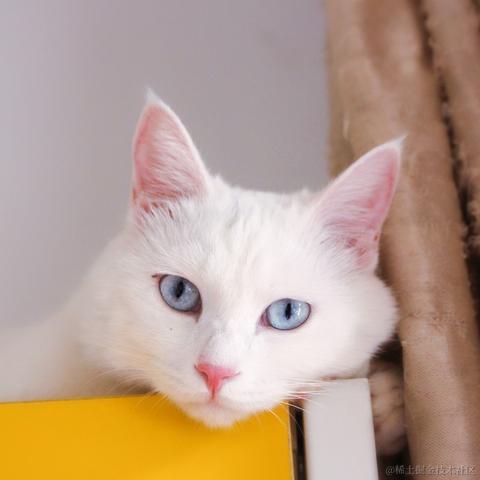 Susie_女子于2021-09-14 19:47发布的图片