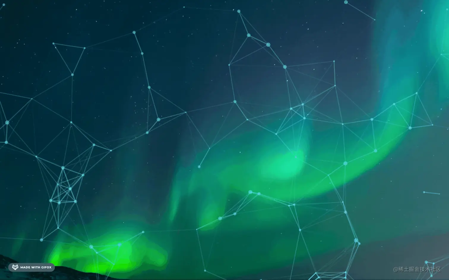 2021-12-08 12.50.30.gif