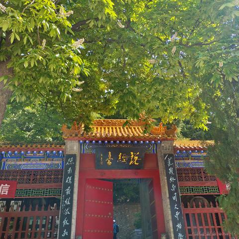 fighter_于2023-05-14 19:55发布的图片