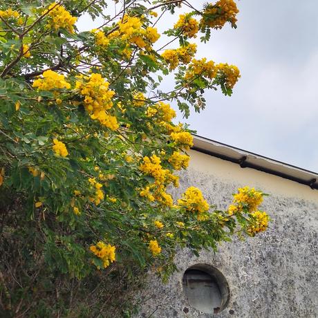 已注销于2023-03-29 11:25发布的图片