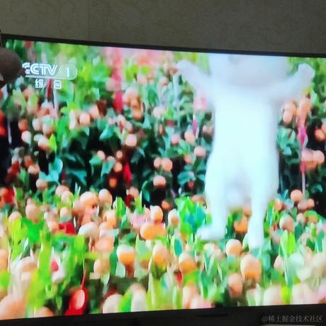 cat711于2023-01-21 20:02发布的图片