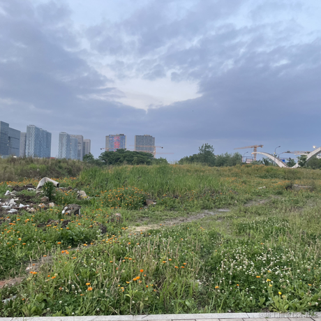 你说这是为什么于2023-05-19 10:05发布的图片