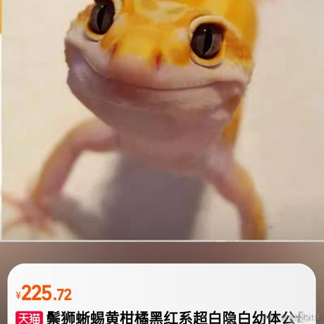 蹄蹄于2022-11-28 20:06发布的图片