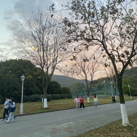 乃琳今天吃什么火锅于2022-11-28 06:53发布的图片