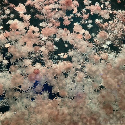 我是个靓崽于2023-04-23 22:39发布的图片