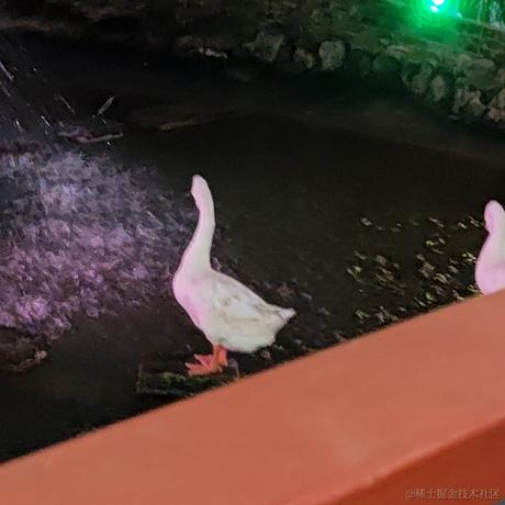 w减速了再走于2022-12-01 10:04发布的图片