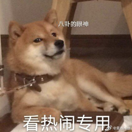 小阔爱呀o_o于2020-11-23 07:51发布的图片
