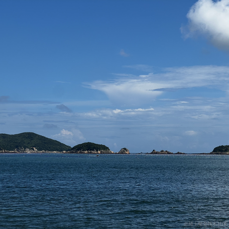 十里八乡有名的后俊生于2023-08-30 12:45发布的图片