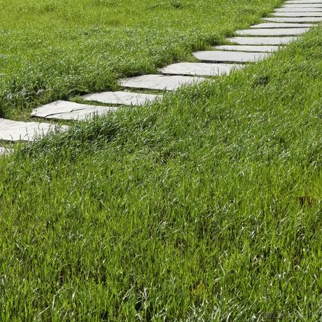 乃王木木睡醒了于2022-12-01 18:49发布的图片